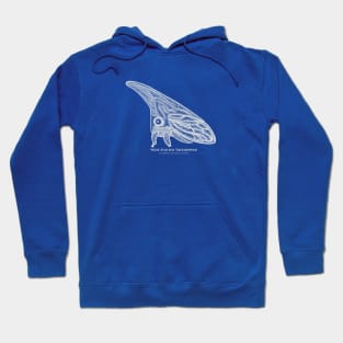 Treehopper with Common and Latin Names - cut insect design Hoodie